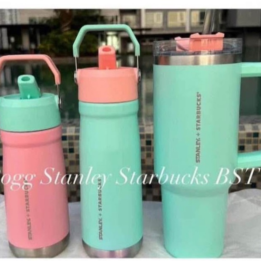 Stanley Coffee & Tea Accessories Set - Mint and Pink